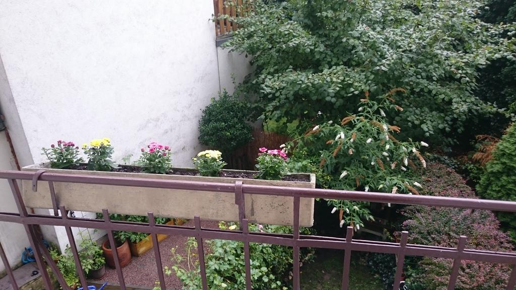Appartement Avi Goodhouse Düsseldorf